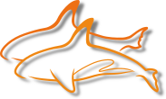 orcas Logo